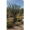 ChatGPT Image 23. 4. 2026, 12 16 55