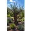 ChatGPT Image 23. 4. 2026, 12 22 43