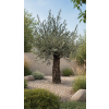 ChatGPT Image 23. 4. 2026, 12 42 38