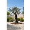 ChatGPT Image 23. 4. 2026, 13 28 40