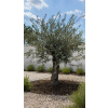ChatGPT Image 23. 4. 2026, 14 27 26