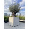 Betónový kvetináč Prima Verona XL (viac farieb)