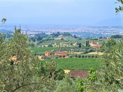 Toskánská olivová farma Fattoria Ramerino