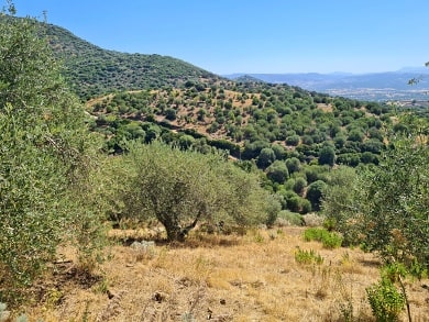 Malebná kopcovitá krajina v centrální části Sardinie