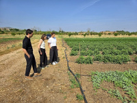  Španělská olivová farma Casas de Hualdo