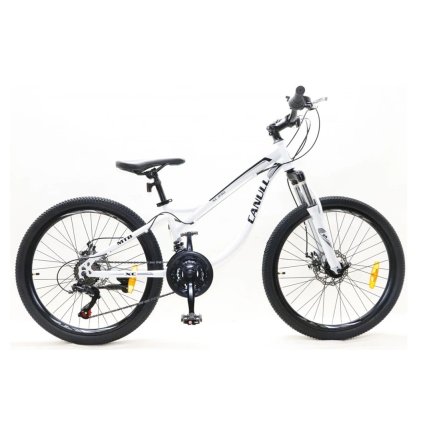 Snímek obrazovky 2026 01 06 134824