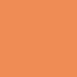Dámské kalhotky - ANDRIE PS 2900, vel. M - XXL Barva: Oranžová, Velikost: 50/52-XXL