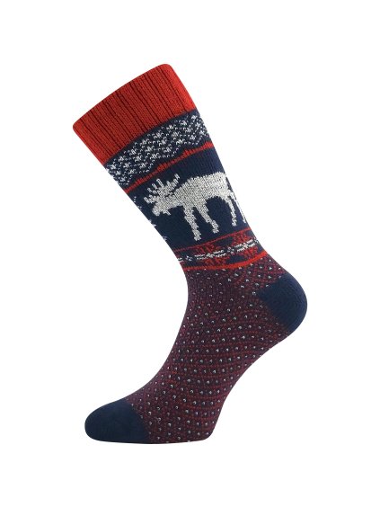 Pánské ponožky