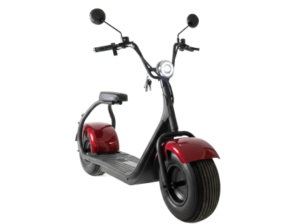 13620 sport 1