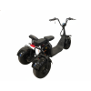 12384 5 elektricka trikolka sport