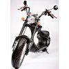 5379 1 elektrokolobezka eco scooter eco highway super chopper