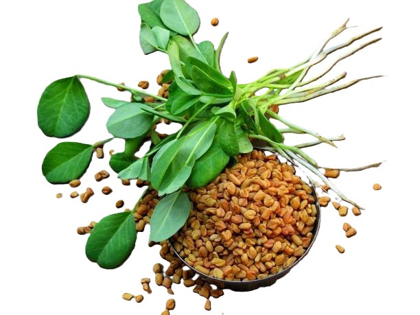 Methi: posilnění systémů těla