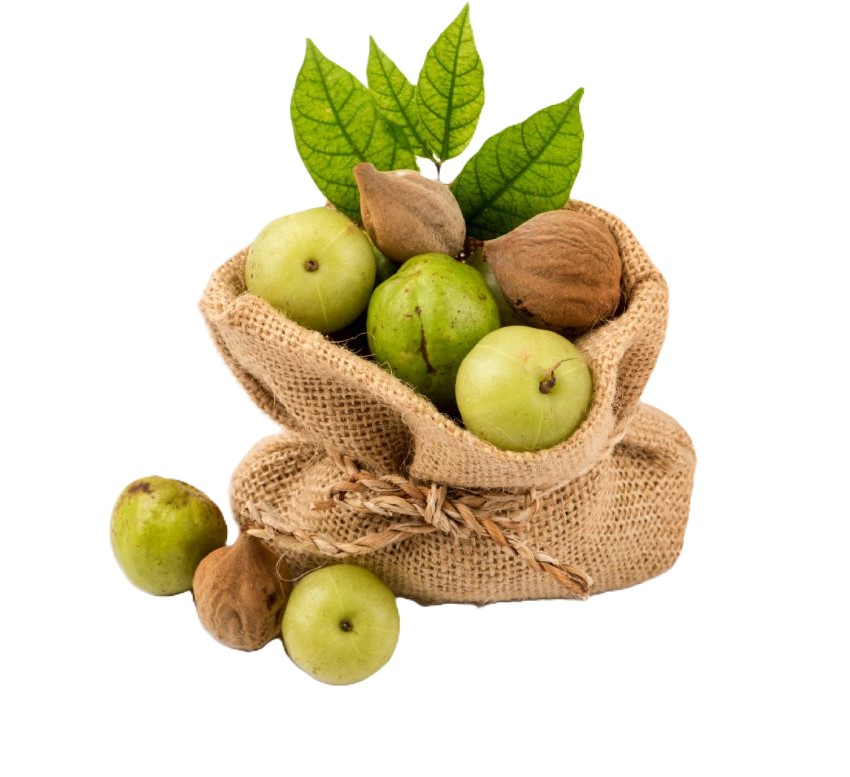 Triphala: trojí kombinace pro imunitu a normální trávení