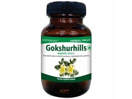 Gokshurhills low