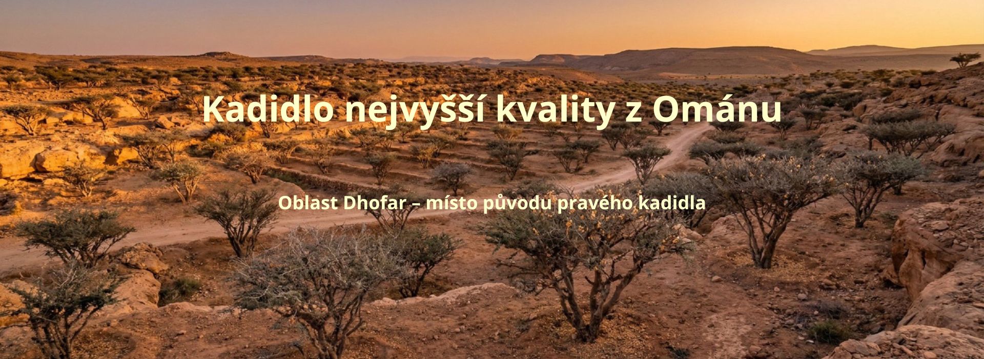 Vykuřovací kadidlo z Ománu