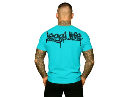 graffiti tyrkys back