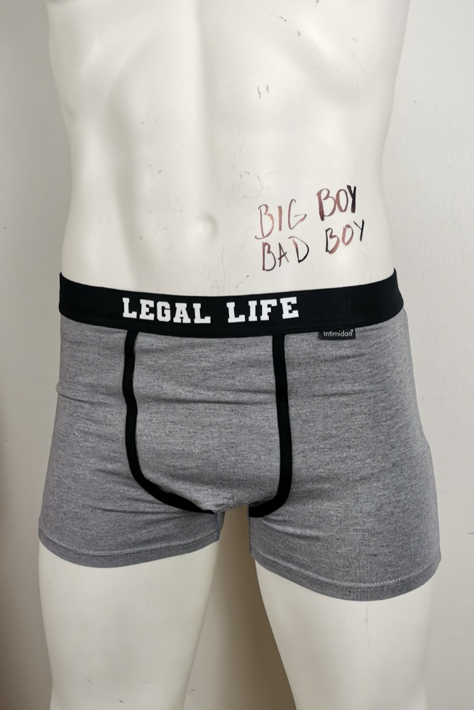 Pánské boxerky Legal Life šedé Velikost: XL