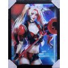 3D obraz HARLEY QUINN 60x40cm (Velikost Unisex)