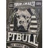 PitBull West Coast - pánské triko TROUBLEMAKER washed zelená (Velikost M)