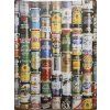 Plechová cedule Beer 30x40cm (Velikost 30x40cm)