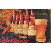 Plechová cedule Budweisser 20x30cm (Velikost 20x30cm)
