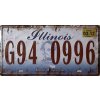Plechová cedule SPZ Illinois G94 15x20 cm (Velikost 15x30cm)