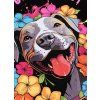 pitbull west coast damska kp mikina happy pit cerna xs (4)