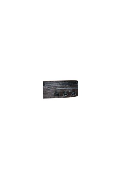 CLIO Williams Maxi Air box 4 krídlové matice vpredu + 4 vzduchové klaksóny .  Carbon