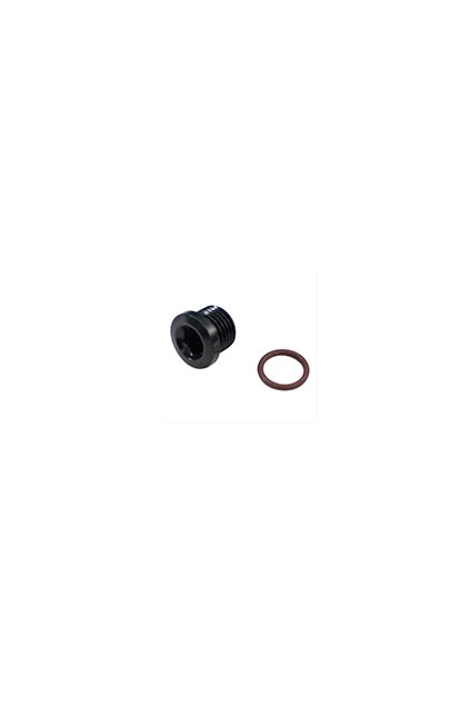Aluminum Socket Hex Port Plug