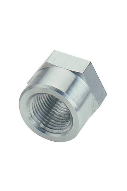 Female Weld Bungs FPT