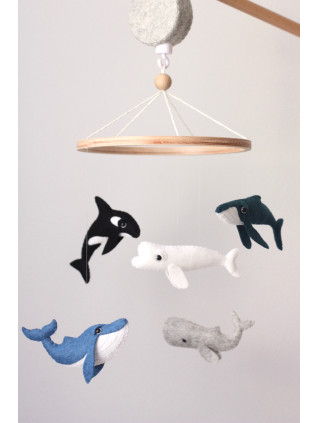 E402A27C EE87 4902 8CF9 A320BBE0B5F3