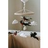 CONTRAST SWALLOWS