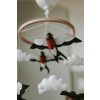 CONTRAST SWALLOWS