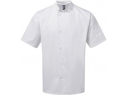 (PS) (39.0900) Premier PR900 [white] (1)