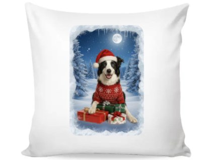 132444 polstar s motivem vanoce border kolie