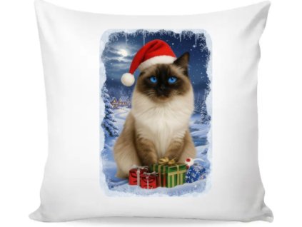 132447 polstar s motivem vanoce ragdoll kocka