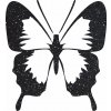 Potisk TŘPYTIVÝ MOTÝL (Barva potisku třpytivá bílá)
