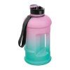 Láhev na pití Gainesville 1 300 ml zelenorůžová