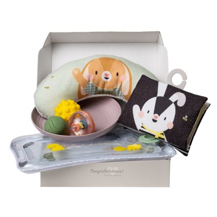 TAF TOYS Sada hraček pro hru na bříšku