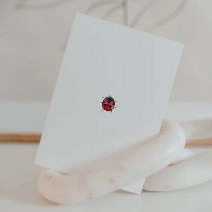EULENSCHNITT Přání/pohlednice s akvarelovým motivem Ladybug