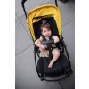 BUGABOO Bee6 Kompletní kočárek Alu/Grey/Grey Melange