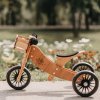 KINDERFEETS Tříkolka a odrážedlo Tiny Tot Plus 2v1 Bamboo