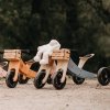 KINDERFEETS Tříkolka a odrážedlo Tiny Tot Plus 2v1 Bamboo