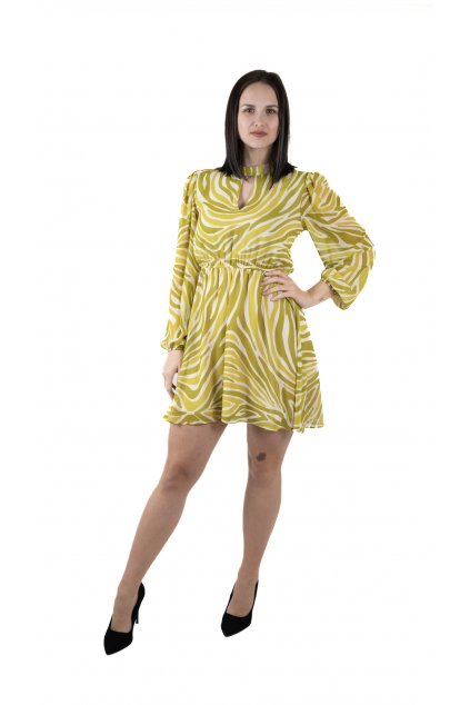 0090005 01 zelena bila