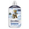 coccolinoaz