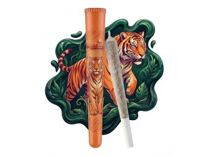 01 OrangeTiger