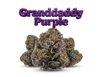GRANDDADDY PURPLE 60% (Weight 7g)