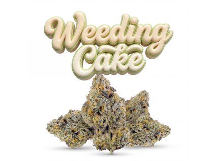 WEDDING CAKE 60% (Weight 7g)