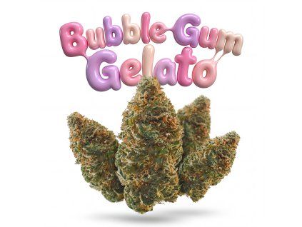 BUBBLEGUM GELATO 60% (Weight 7g)