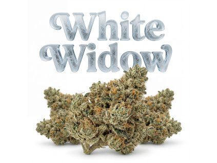 WHITE WIDOW CBG 60% (Weight 7g)